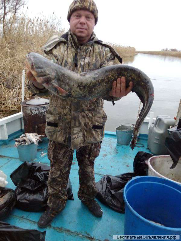 Рыбалка с теплоходов в Астрахани