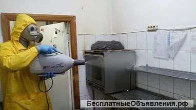 Уничтожение клопов, тараканов, муравьев итп, плесени, грызунов