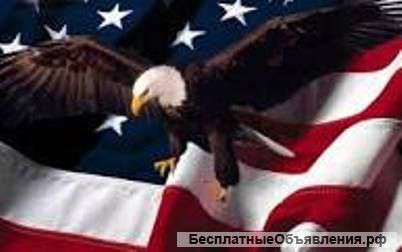 Регистрация корпорации или ООО в США