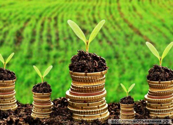 Зем участок ст.Мининоно