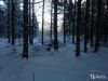 Земельный участок 10 соток