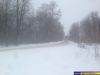 Земельный участок Серпуховский район, с.Турово