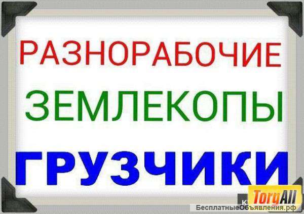 Разнорабочие, подсобники. Бригада.Услуги строительства.
