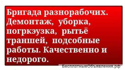 Рабочая бригад для благоустройство Бригада 12
