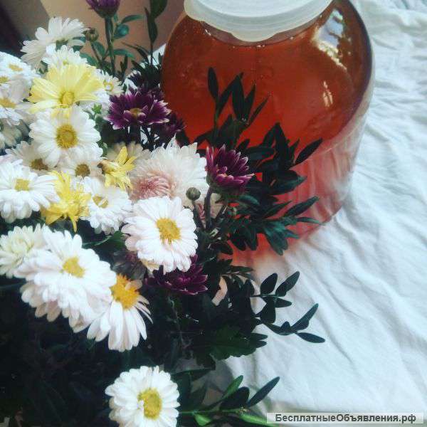 Мед соты воск прополис