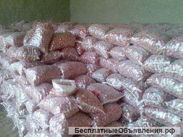 Картофель,капуста,огурцы