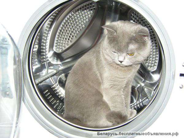 Барабан стиральной машины Electrolux