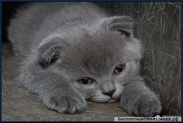 Продавец-кассир