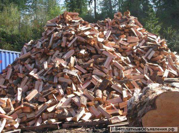 Дрова березовые, продажа дрова, дрова колотые в спб с доставкой