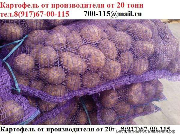 Картофеляот производителя ОПТ от 20 тонн