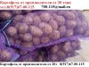 Картофеляот производителя ОПТ от 20 тонн