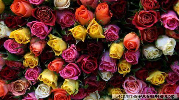 Цветы и букеты