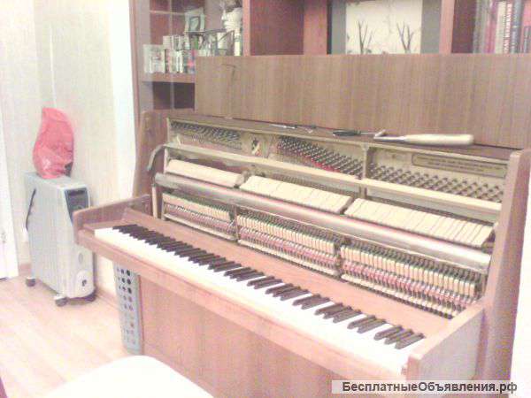 Настройка фортепиано (пианино и роялей)