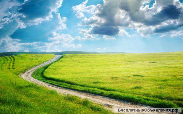 Земельный участок 11 Га (п. Ермолаево, Березовский район)