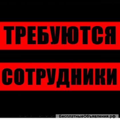 Дежурный оператор