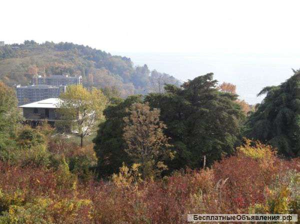 Участок в Детляжке