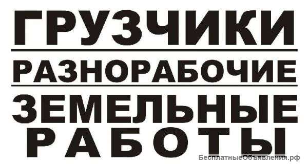 Услуги грузчиков, уборка снега, разнорабочие