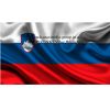 Услуги ВНЖ и ПМЖ гражданство Словакия