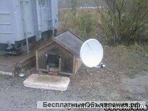 Антенны спутниковые, эфирные