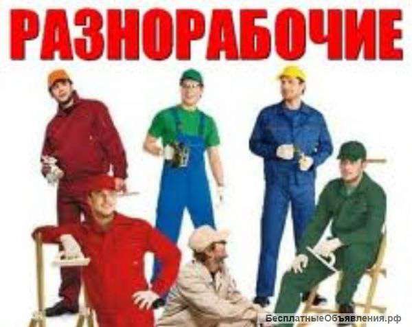 Требуется разноплановый рабочий