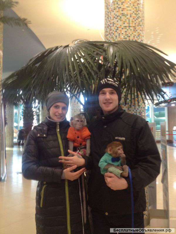 Билеты в Аква парк