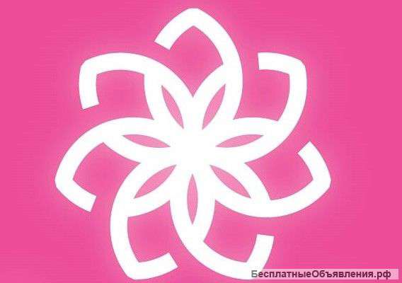 Организатор мастер классов и семинаров