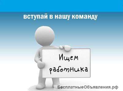 Консультант - дежурный