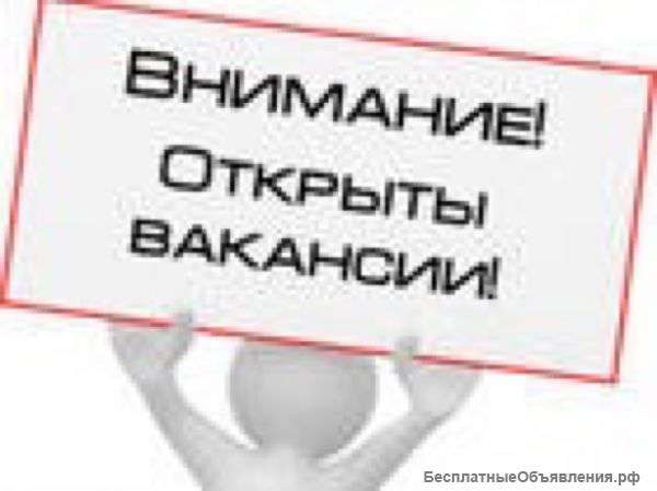 Дежурный оператор на звонки