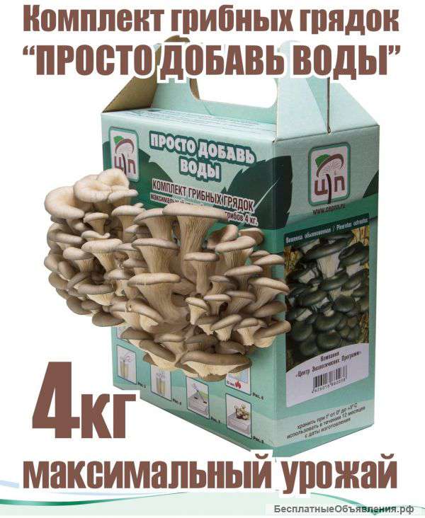 Комплект для домашнего выращивания грибов вешенка