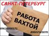 Разнорабочие на вахту СПб