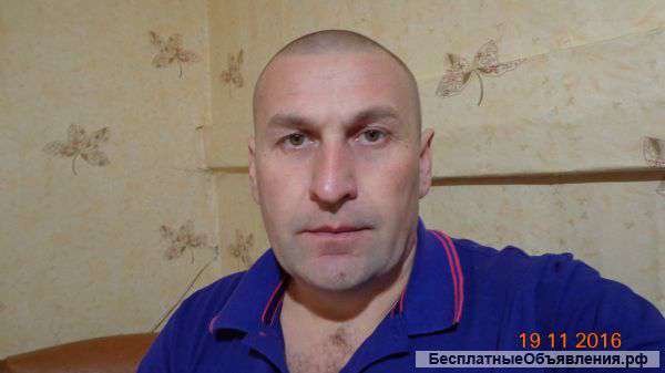 Плотник пастроит дом