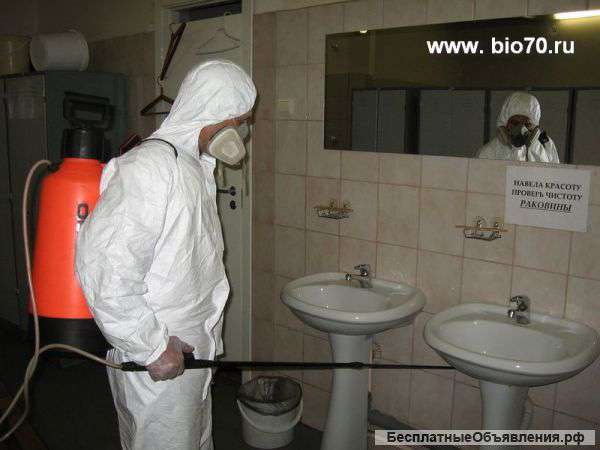 Дезинсекция