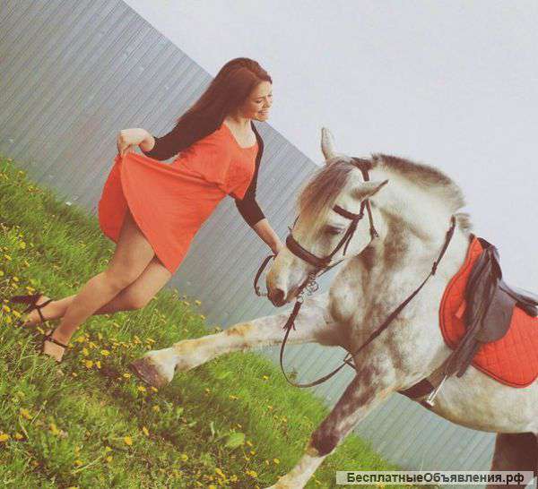 Обучение верховой езде