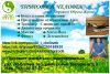 Клуб ЗОЖ "Природа и человек"