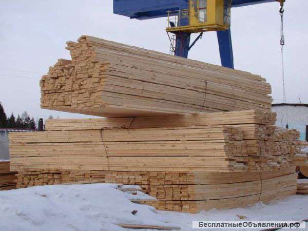 Срубы из Алтайского кедра