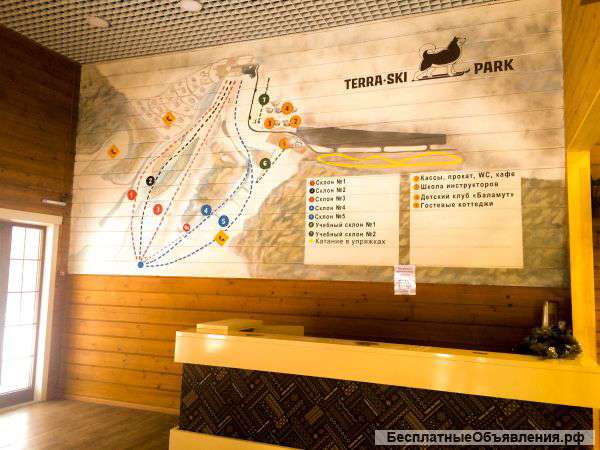 Профессиональная художественная роспись стен