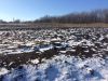 Участок 12 соток