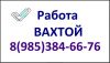 Охранник вахта 15/15 или 30/15