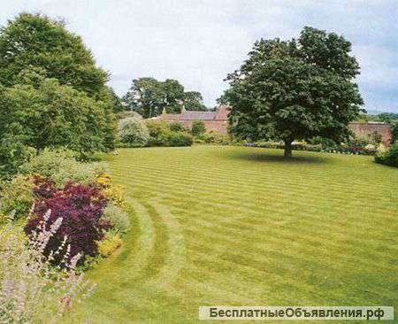 Косим сады и земельные участки