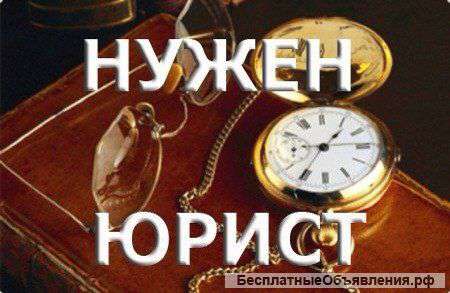 Юрисконсульт, Юрист