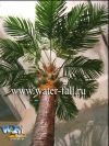 Искусственные и стабилизированные пальмы