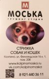 Стрижка собак и кошек груминг студия "МОСЬКА" в Колпино