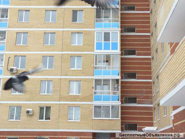 Вам точно понравится именно эта квартира