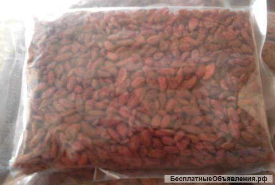 Ягода Годжи