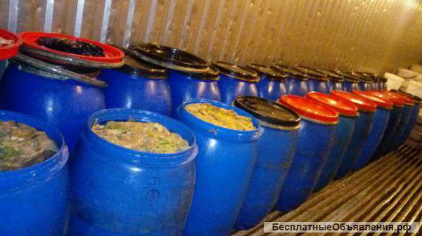 Грибы соленые оптом