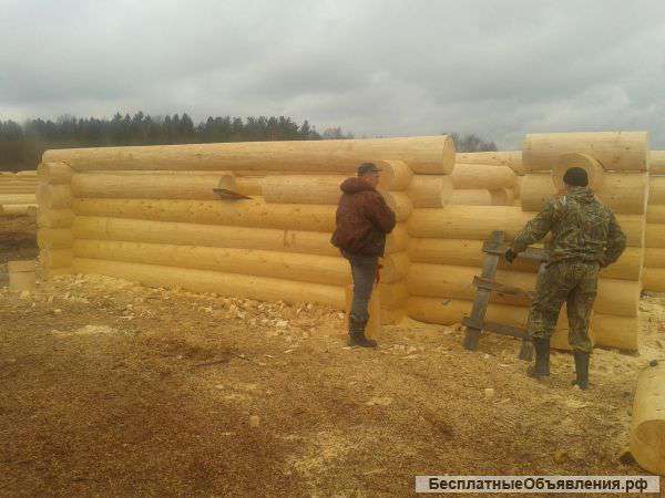 Изготовление срубов домов и бань