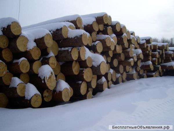 Производство деревянных домов под ключ