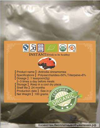 Гриб Антродия камфорная экстракт