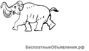 Водитель, категория Е
