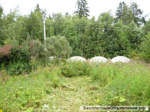Дача. Рогачевское шоссе, СНТ Прогресс 96